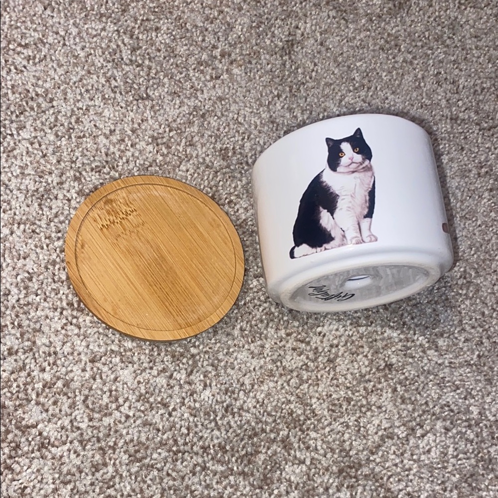 Cat Print Ceramic Planter